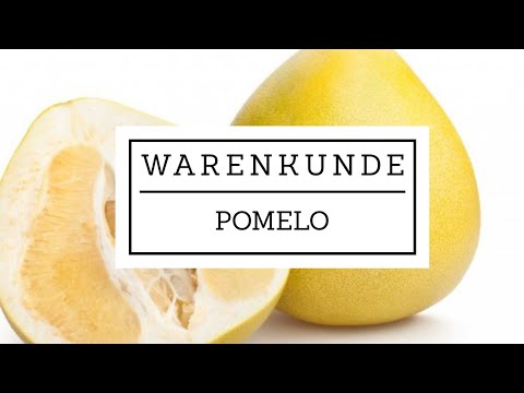 Warenkunde – Pomelo die größte Zitrusfrucht der Welt!