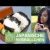 REZEPT: Onigiri (Japanische Reisbällchen) | Picknick im Park und Pokémon GO spielen
