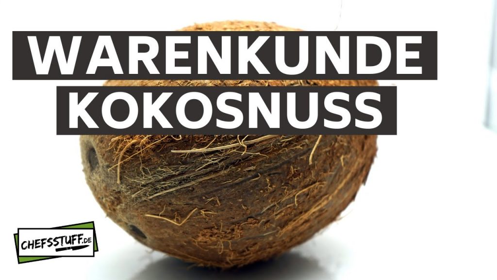 Warenkunde Kokosnuss | Richtig öffnen | Baum des Lebens