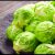 Leckeren Rosenkohl putzen und nach Großmutters Rezept zubereiten | Recipe for Brussels sprouts