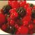 Herrliche Rote Grütze mit frischen Beeren selber machen –  Omas Dessert Rezept