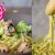 Nudeln mit grüner Soße / Avocado & Brokkoli / 20 Minuten Essen / Sallys Welt