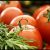 Feine Tomatensoße selber machen – Aus frischen Tomaten nach Omas Rezept