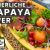 Papayasalat | bunter Sommersalat | Rezept für die heißen Tage | hauchdünner Serrano Schinken