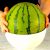 Sommersnack: 4 geniale Ideen mit Wassermelonen