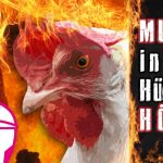 Murat in der Hühner Hölle // Murats 5 Minuten / Sallys Welt