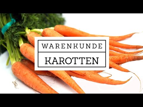 Warenkunde – Die Karotte / Möhre – Woher kommt die Farbe und was hat es mit der Urmöhre auf sich?