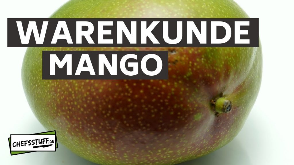 Warenkunde –  Mango / den Mangoigel bauen wir natürlich auch!