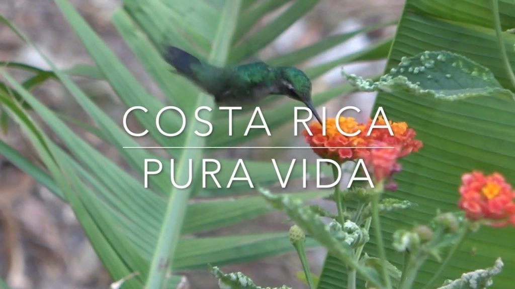 Costa Rica – sieben Wochen Rundreise mit Kleinkind | Teil 1