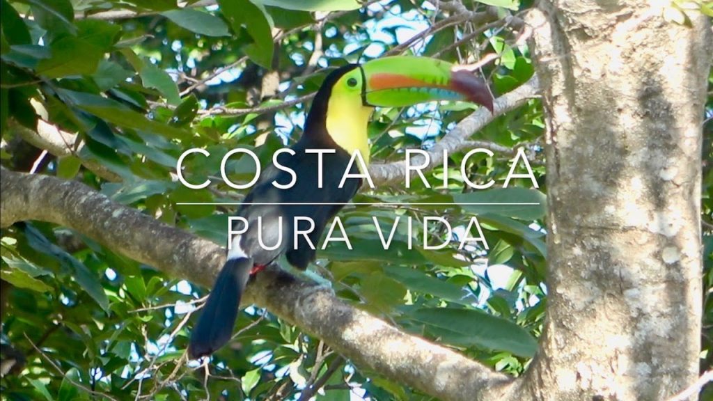 Costa Rica – sieben Wochen Rundreise mit Kleinkind | Teil 2