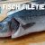 Fisch richtig filetieren, entschuppen und Gräten ziehen – Küchen-Basics 3