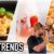 TikTok Food Trends / Elas & Murats Top 3 Rezepte / Sallys Welt