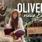 Olivenöl neue Ernte 2021 / Sallys Welt on Tour