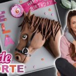 Pferd 3D Motivtorte / Horse Cake / Elas Geburtstagstorte / Sallys Welt