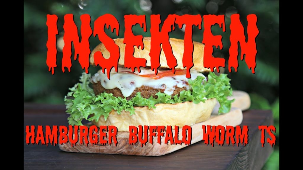 DER INSEKTENBURGER – Wie schmeckt sowas? Buffalo Worm Burger