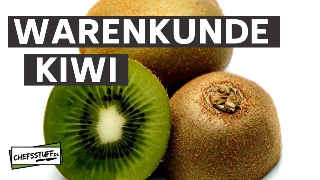 Warenkunde – Kiwi – Was ihr über die unscheinbare Frucht nicht wusstet!