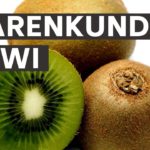 Warenkunde - Kiwi - Was ihr über die unscheinbare Frucht nicht wusstet!