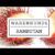 Warenkunde – Rambutan | die Litchi in geil | außergewöhnliches Obst