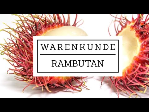 Warenkunde – Rambutan | die Litchi in geil | außergewöhnliches Obst