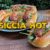 SALSICCIA HOT DOG – Mit Bratwurst schmeckt alles besser!