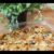 Sallys Kochwelt: vegetarische Ratatouille-Gemüse-Lasagne / Sallys Welt