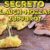 Secreto mit Mozzarella-Knoblauch Zupfbrot – Eine traumhafte Kombination