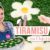 Oster-Special: Eierlikör Tiramisu mit süßer Blumen Deko 🌸