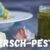 Giersch Pesto selber machen – Frühling im Glas