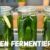 Gurken ganz einfach fermentieren – super lecker und gesund!