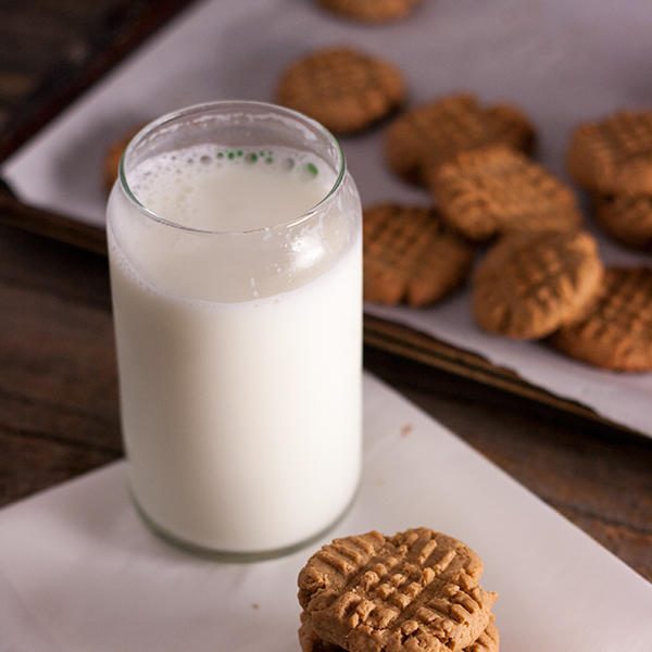 Vegane Erdnussbutterkekse mit Agavendicksaft