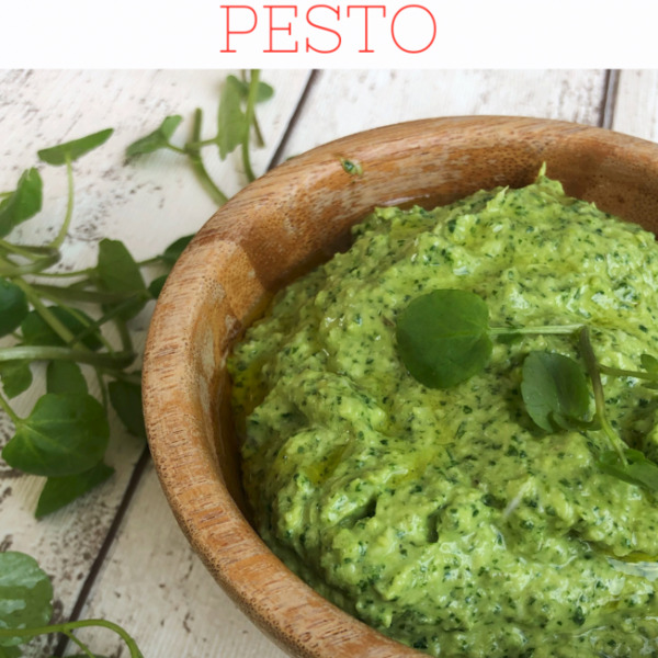 Brunnenkresse-Pesto